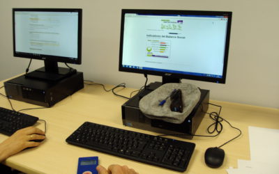 Las entidades de MEScoop comienzan el Balance Social