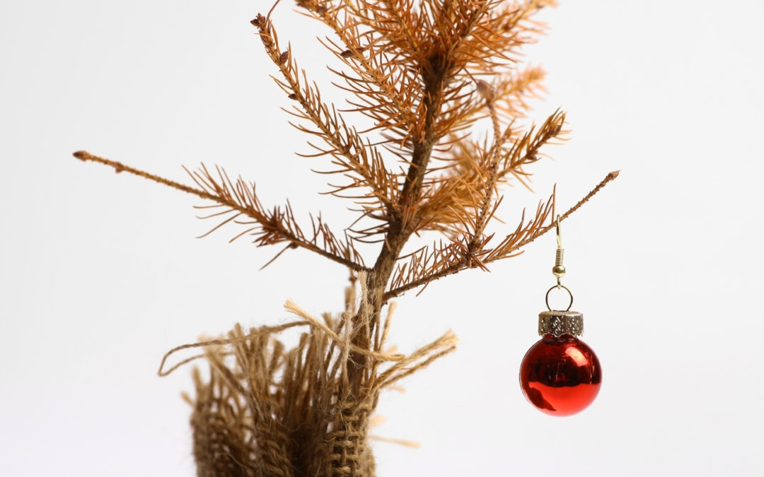 Navidad: una oportunidad para reclamar otro consumo