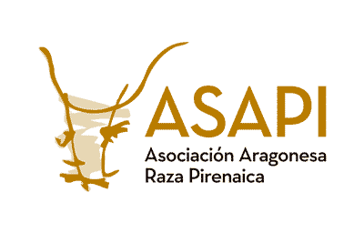 Asapi